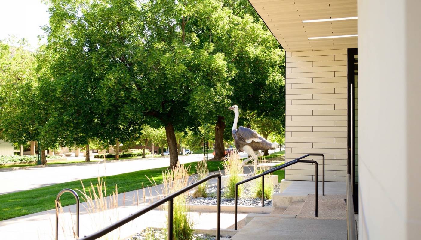 Too_Tall_Ozzie-05_original