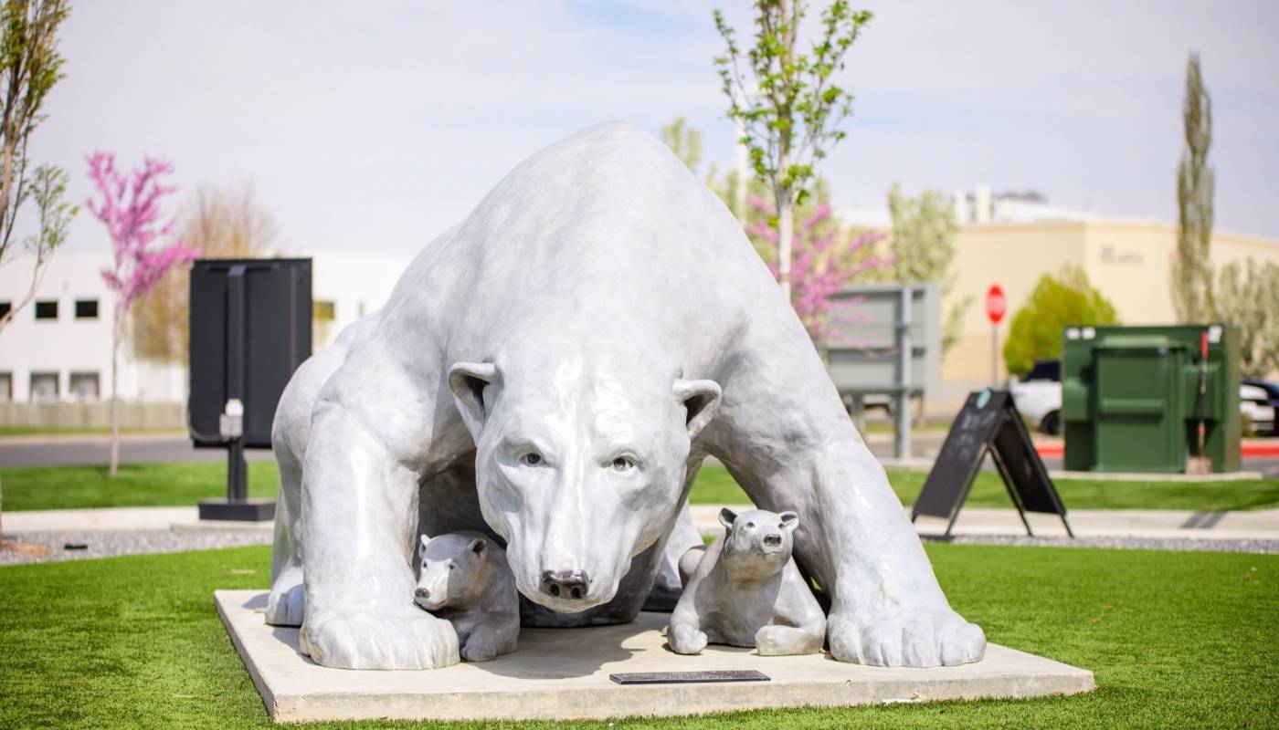 Polar_Bear-302_original